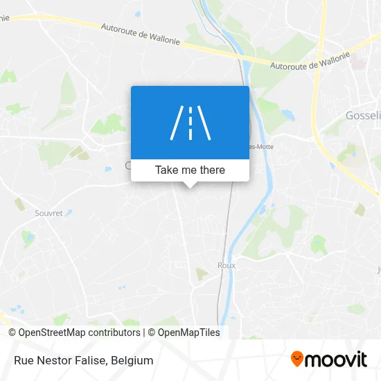 Rue Nestor Falise map
