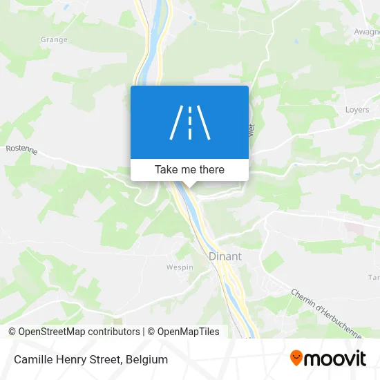 Camille Henry Street map