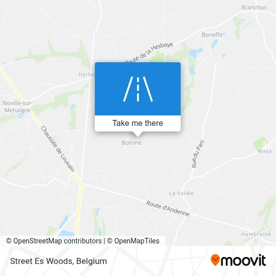 Street Es Woods map