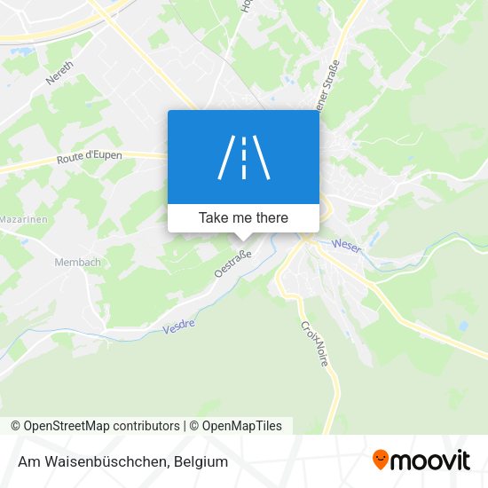 Am Waisenbüschchen plan