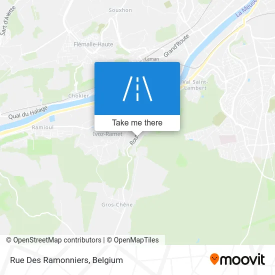 Ramonniers Street map