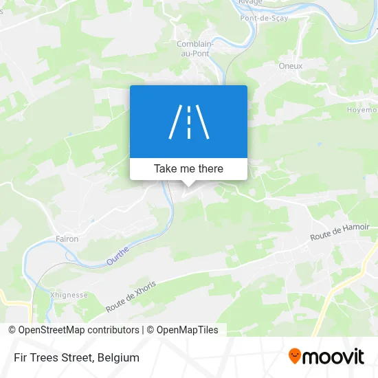 Fir Trees Street map