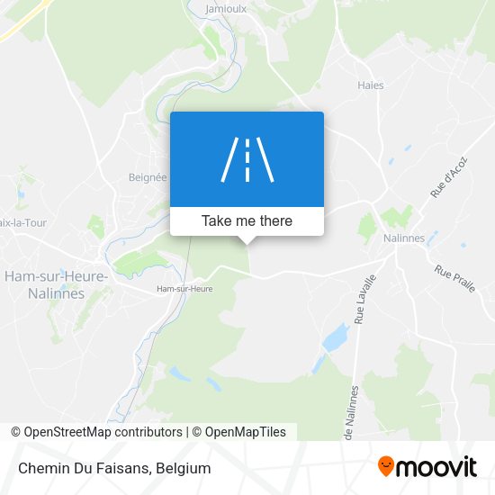 Chemin Du Faisans plan