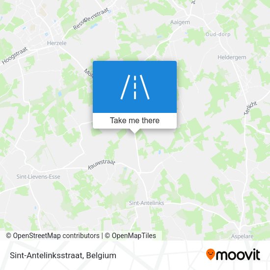 Sint-Antelinksstraat plan