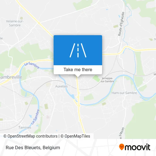 Blueberry Street map