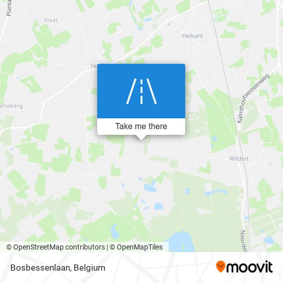 Bosbessenlaan plan