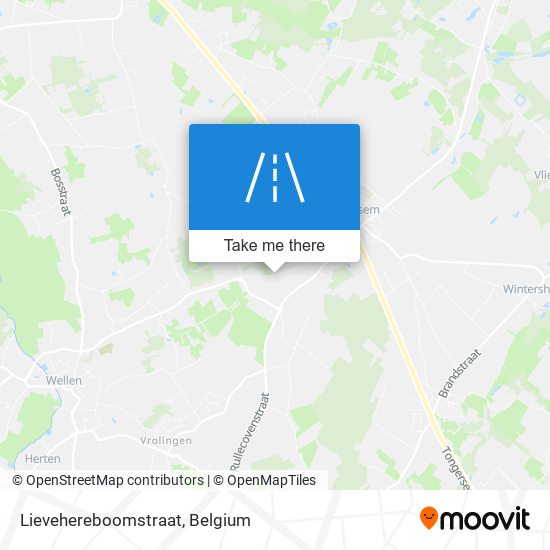 Lievehereboomstraat map