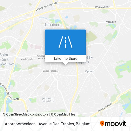 Ahornbomenlaan - Avenue Des Érables plan