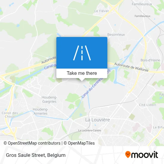 Gros Saule Street map
