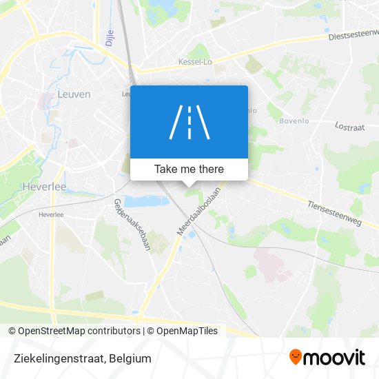 Ziekelingenstraat plan