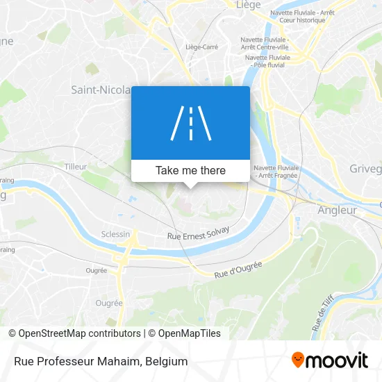 Rue Professeur Mahaim map