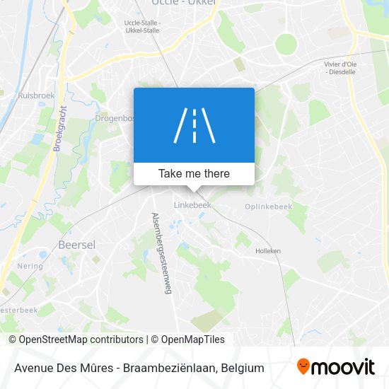 Avenue Des Mûres - Braambeziënlaan map
