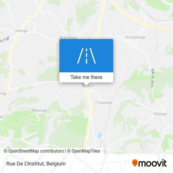 Street of the Institute map