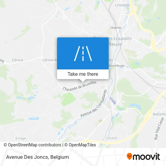 Avenue Des Joncs map