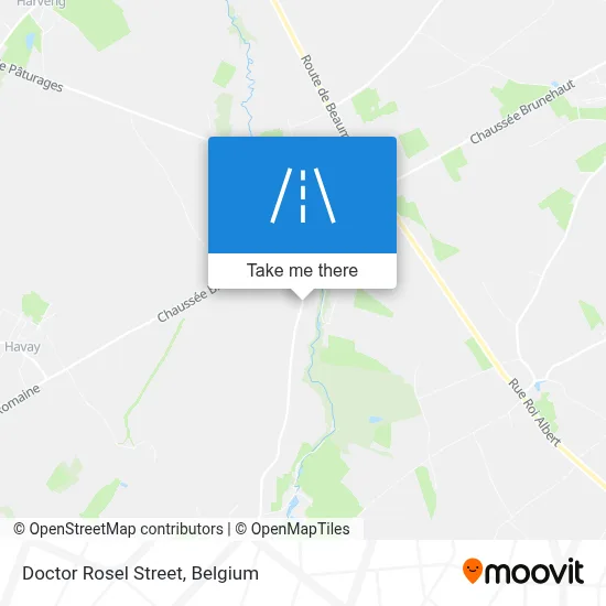 Doctor Rosel Street map