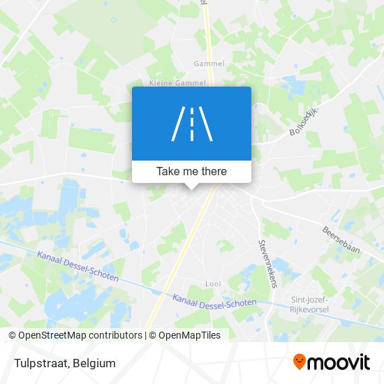 Tulpstraat map