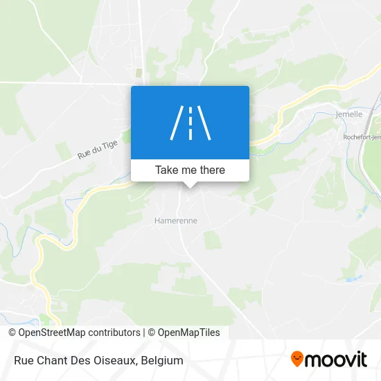 Bird Song Street map