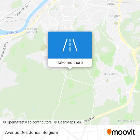 Avenue Des Joncs map