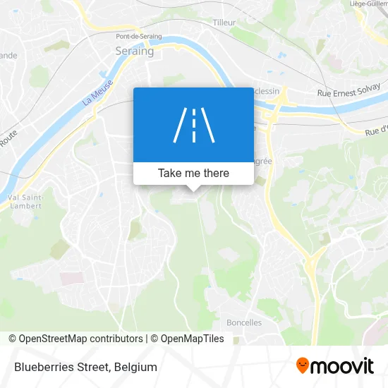 Blueberries Street map