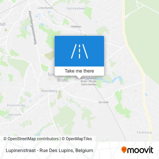 Lupinenstraat - Rue Des Lupins map
