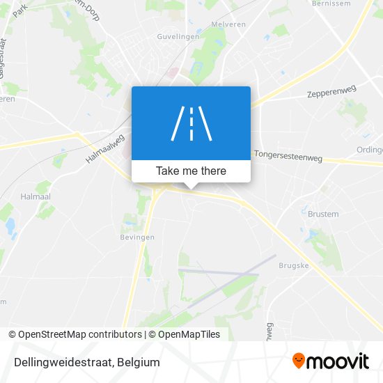 Dellingweidestraat plan