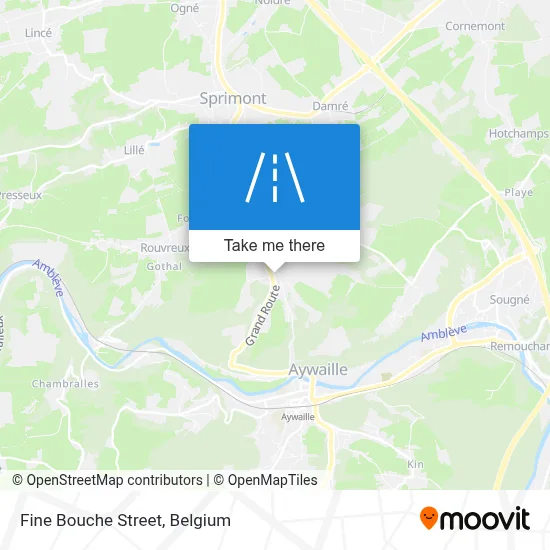 Fine Bouche Street map