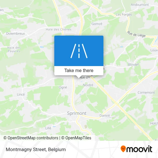 Montmagny Street map