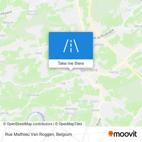 Mathieu Van Roggen Street map