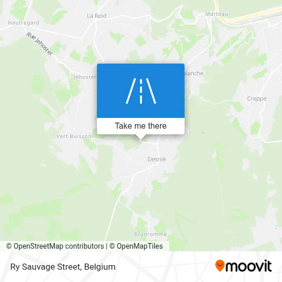 Ry Sauvage Street map