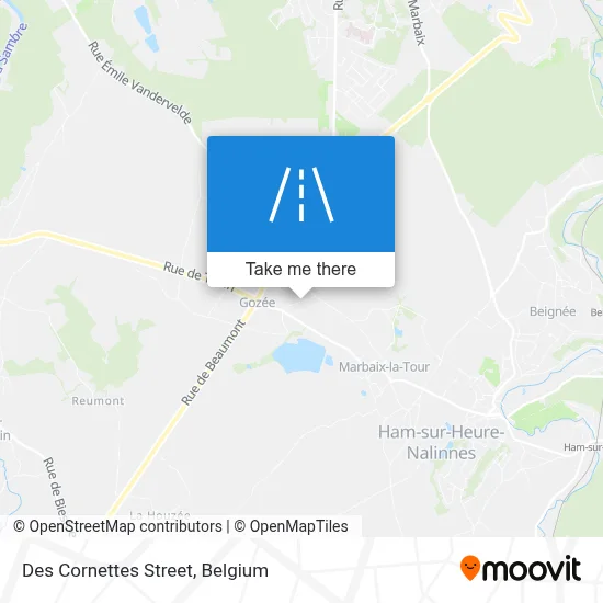 Des Cornettes Street map