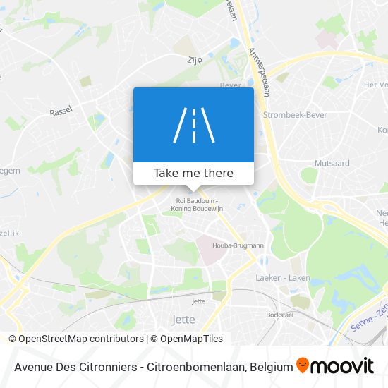 Avenue Des Citronniers - Citroenbomenlaan map