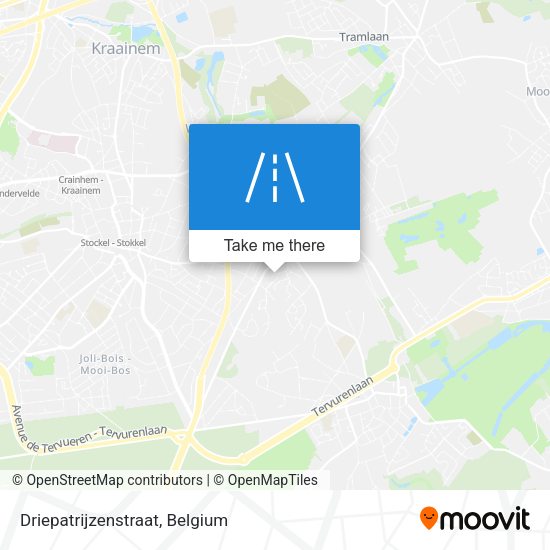 Driepatrijzenstraat plan