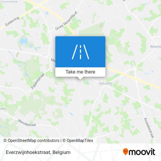 Everzwijnhoekstraat plan