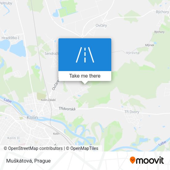 Muškátová map