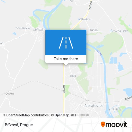 Břízová map