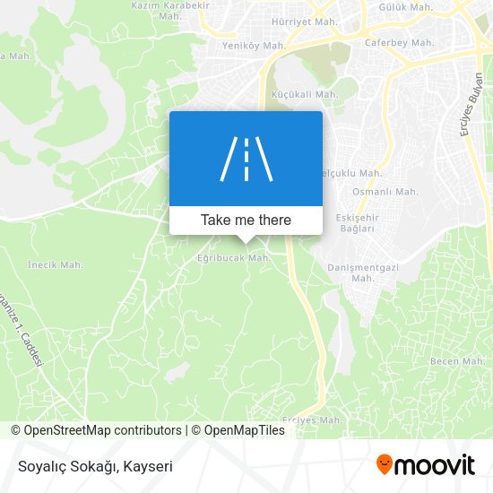 Soyalıç Sokağı map