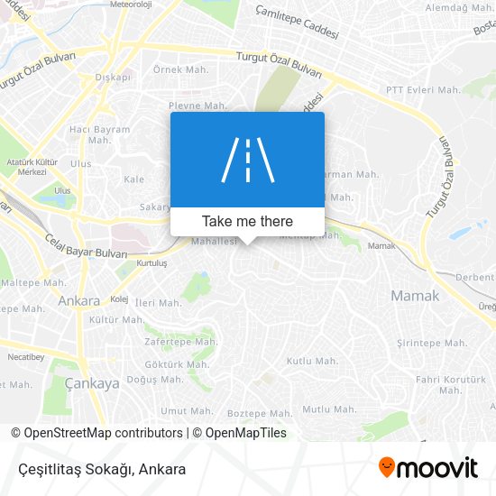 Çeşitlitaş Sokağı map