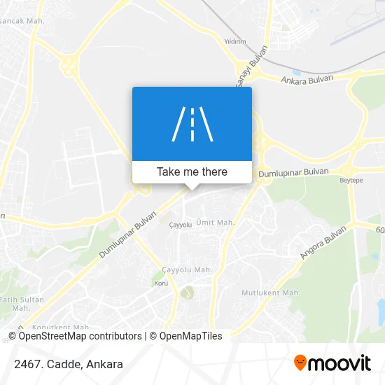 2467. Cadde map