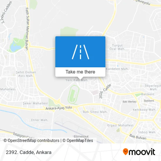 2392. Cadde map