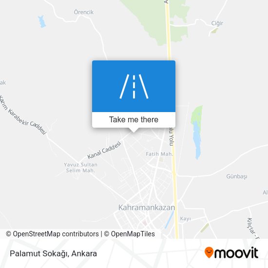 Palamut Sokağı map