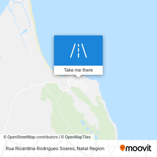 Rua Ricardina Rodrigues Soares map