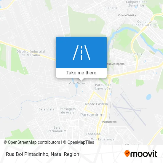 Rua Boi Pintadinho map