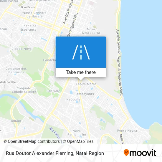 Rua Doutor Alexander Fleming map