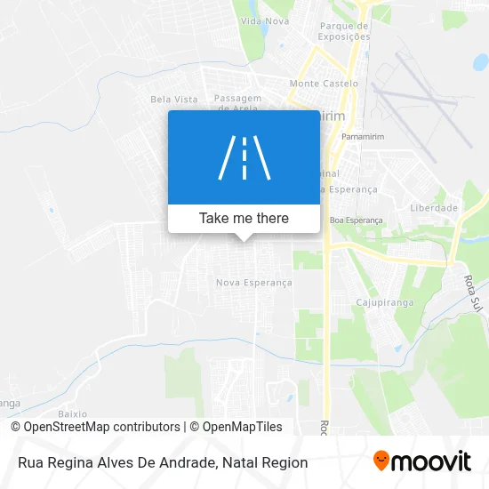 Rua Regina Alves De Andrade map