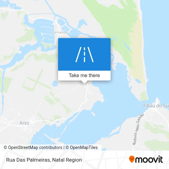 Rua Das Palmeiras map