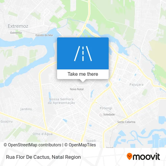 Rua Flor De Cactus map