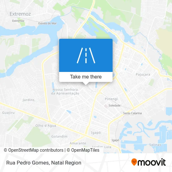 Rua Pedro Gomes map