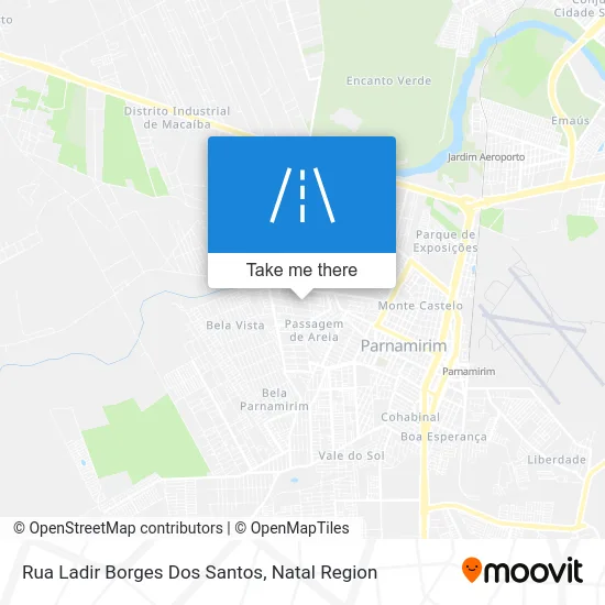 Rua Ladir Borges Dos Santos map