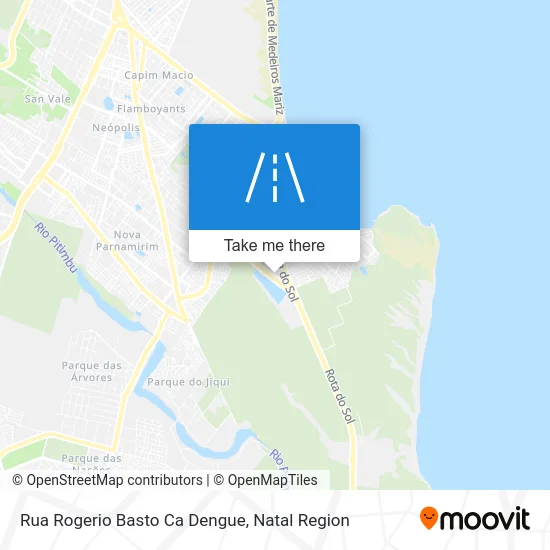 Rua Rogerio Basto Ca Dengue map