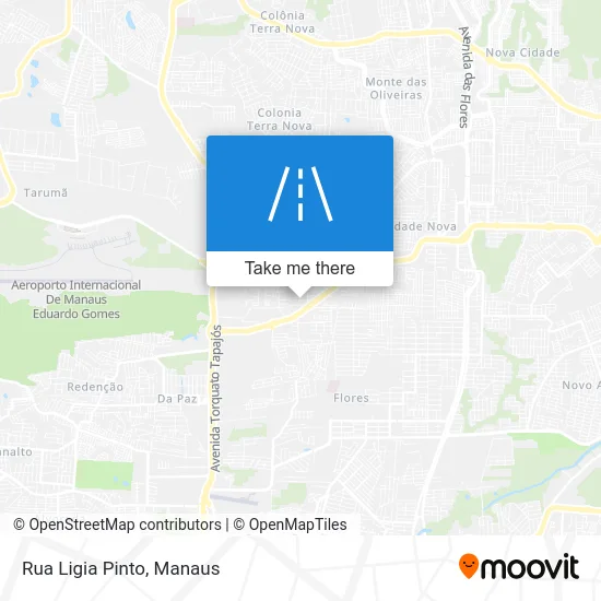 Rua Ligia Pinto map